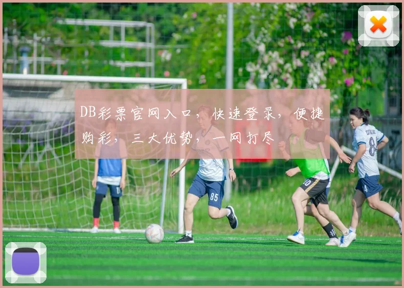 DB彩票官网入口，快速登录，便捷购彩，三大优势，一网打尽